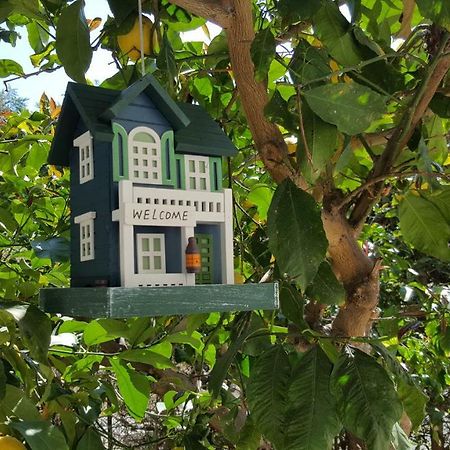 Casa Vacanze Darena Tortoreto Екстер'єр фото